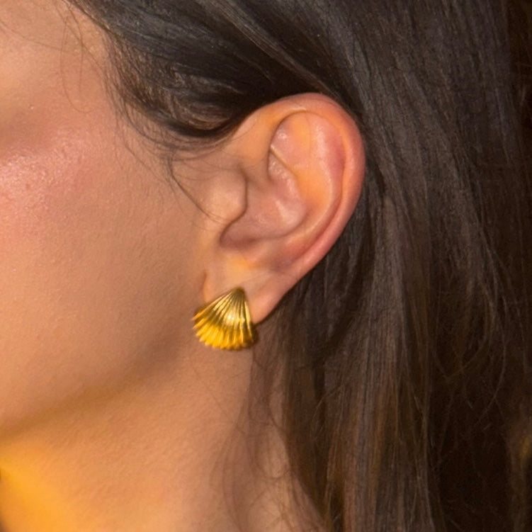 Coastal Issues - Golden Shell Earrings